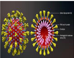 research paper on pandemic covid 19